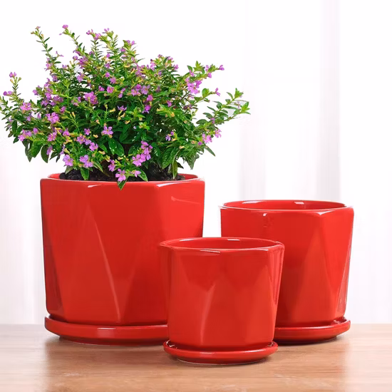 Hochgeschwindigkeits-Keramik-Rasterwalze, vierfarbig, PE/PP/OPP/nicht