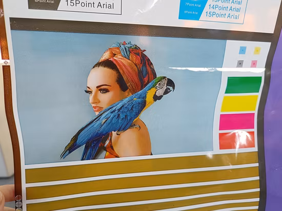 Flexodruckmaschine 2 Farben